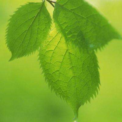 必一体育官方下载入口