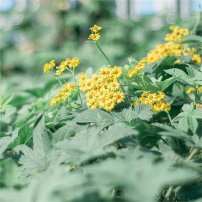 快3平台官网app下载